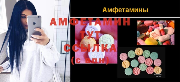 сатива Аркадак